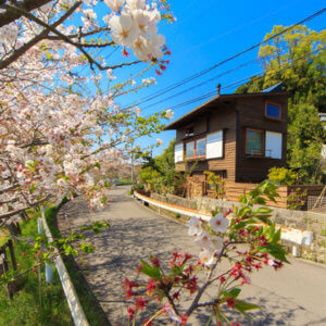 桜並木沿いに建つ木の外壁の家