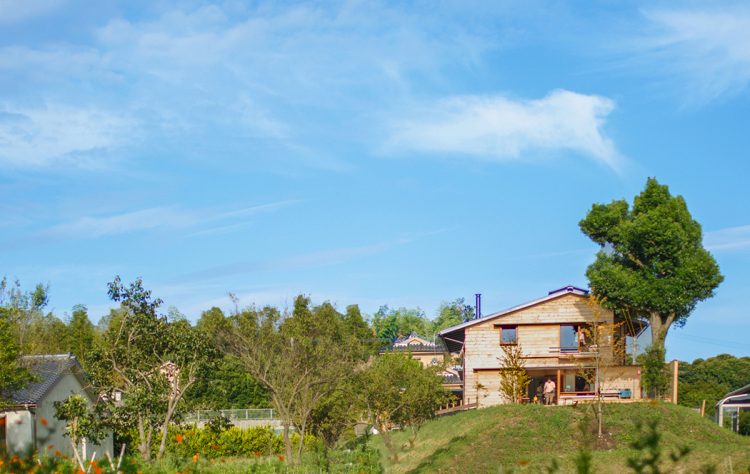 大きなクスノキに寄り添う木の家　sinkenstyle