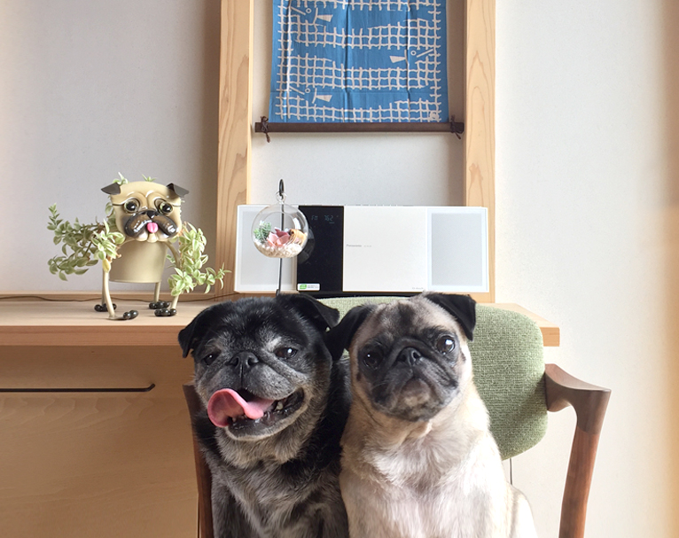 見学会イメージ画像