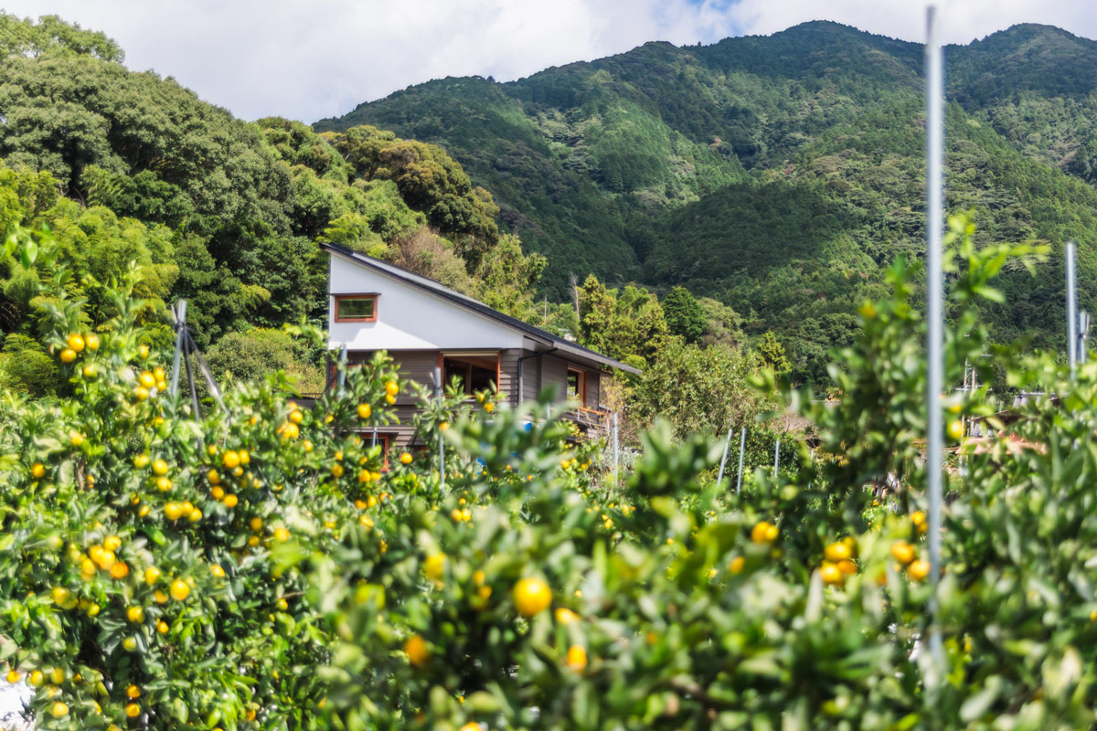 見学会イメージ画像
