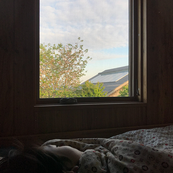 ベッドから見える風景