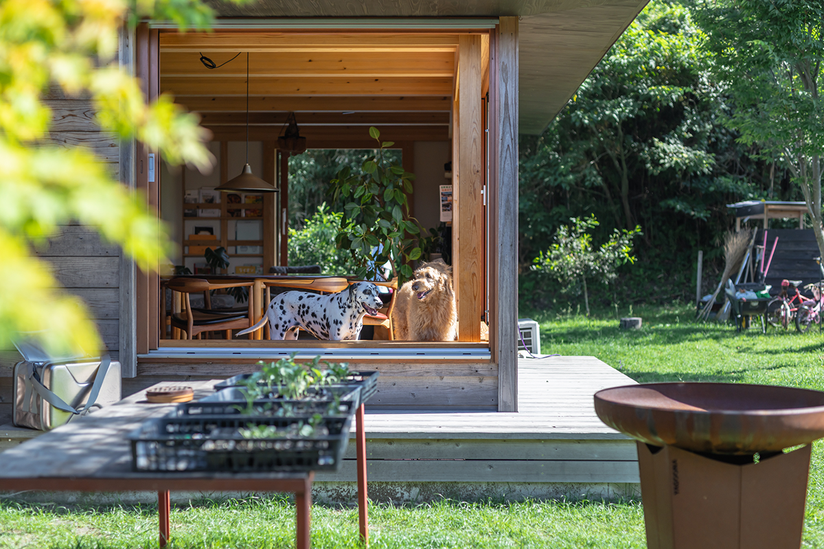 桜島を望むダイニング