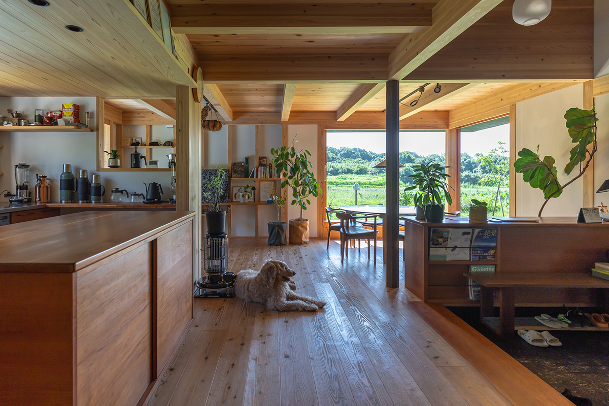 のびのびとしたリビング