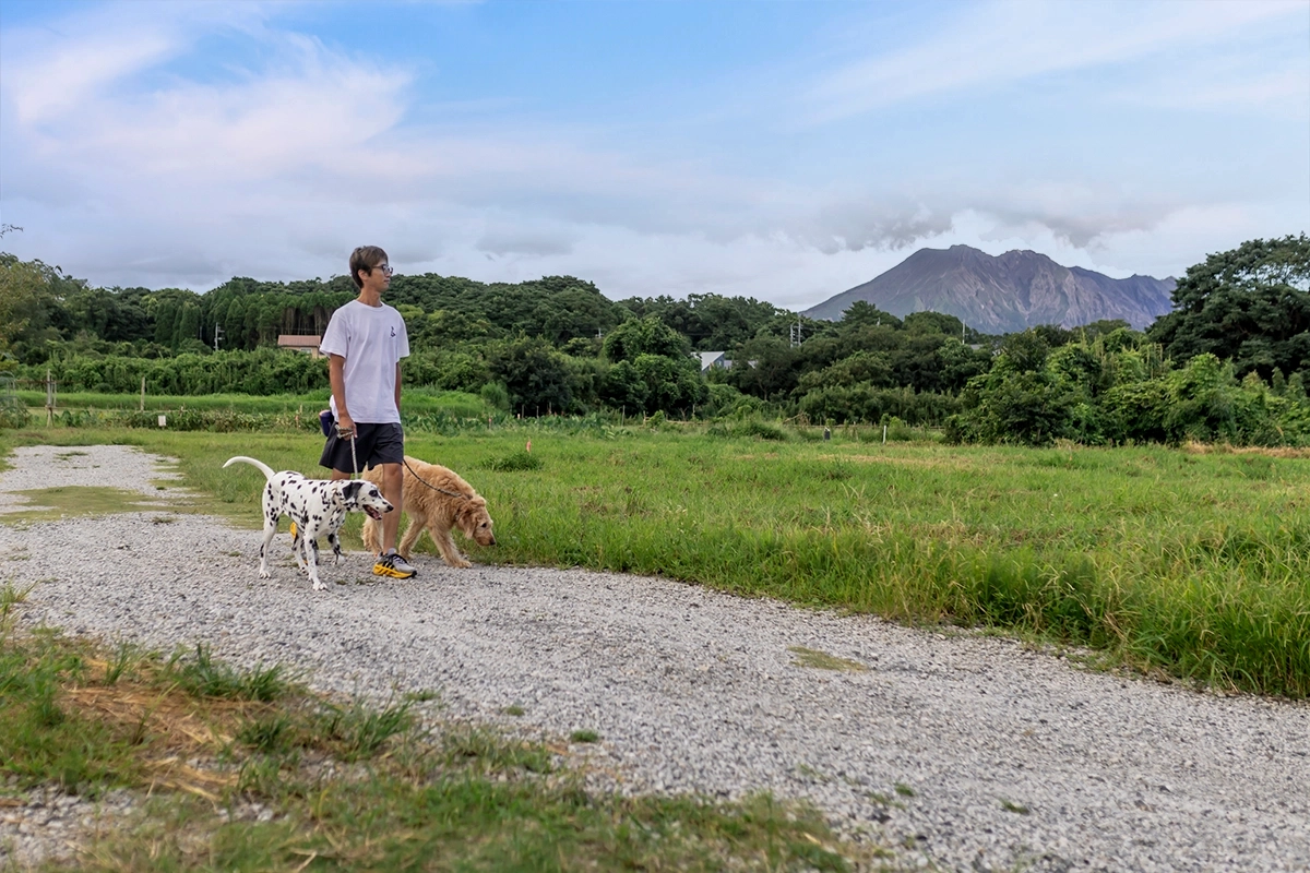 散歩のひととき