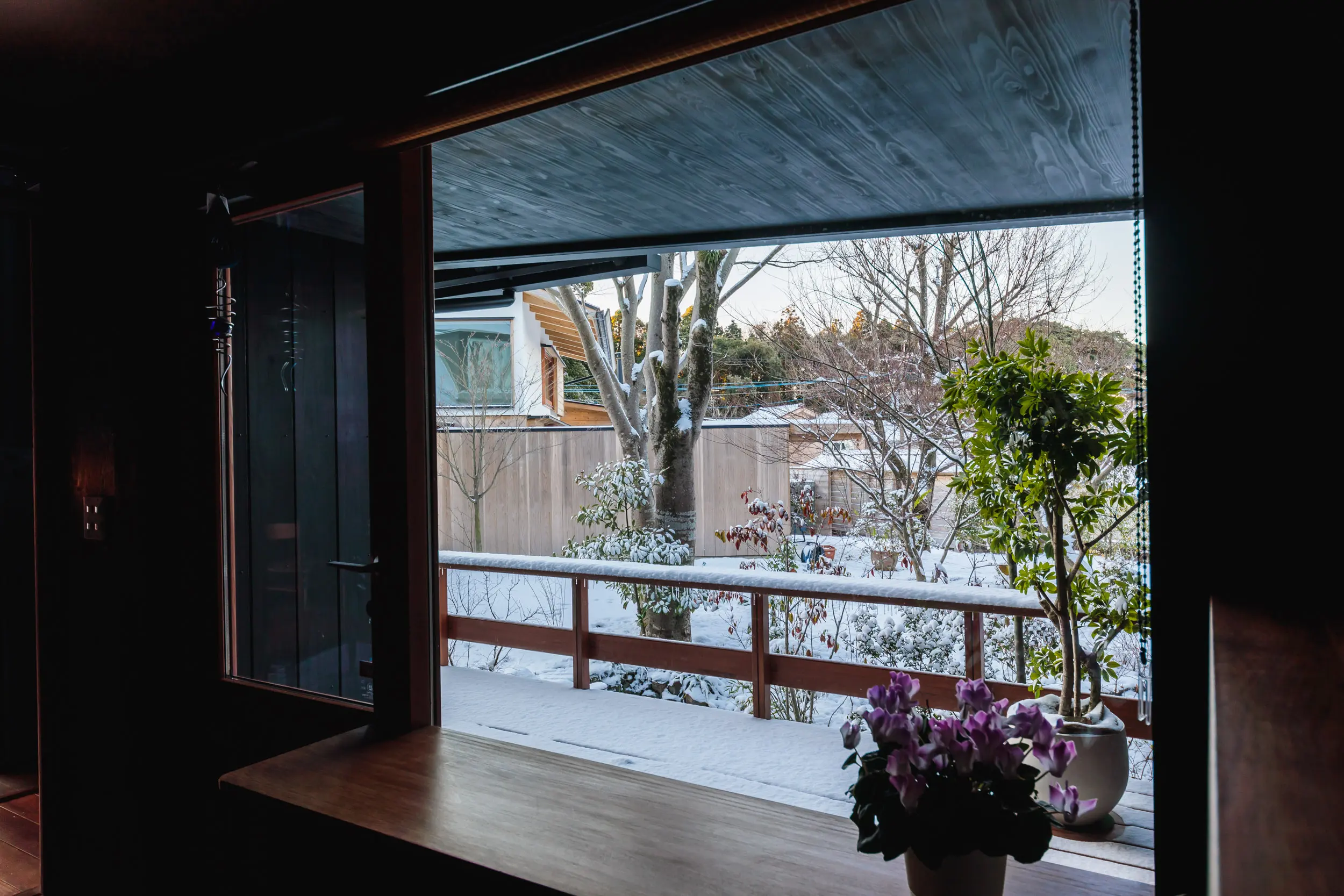 いつもと違う雪景色を切り取る窓