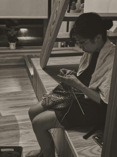 shin5_tw225