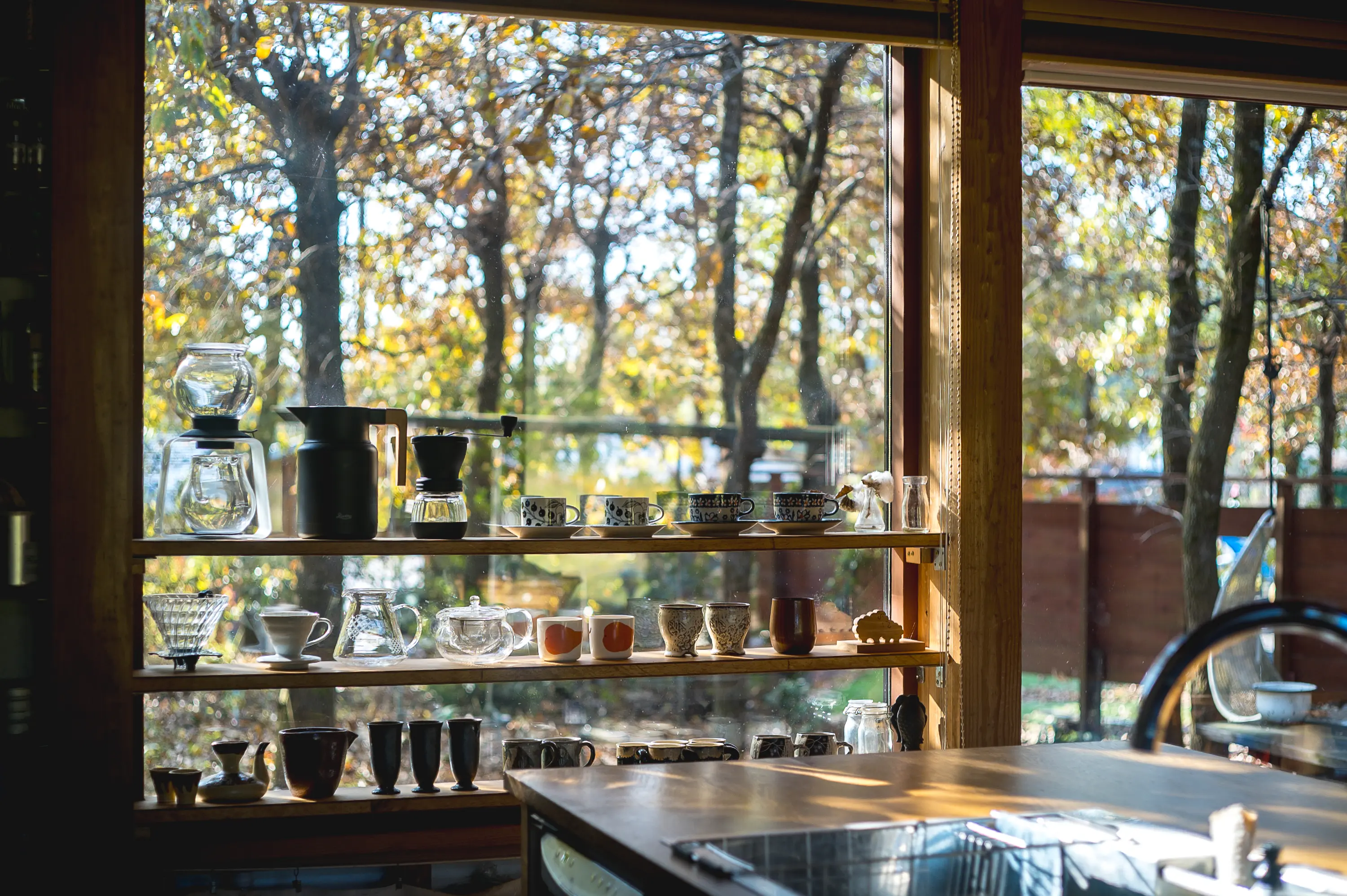 木漏れ日が嬉しいいお気に入りの居場所