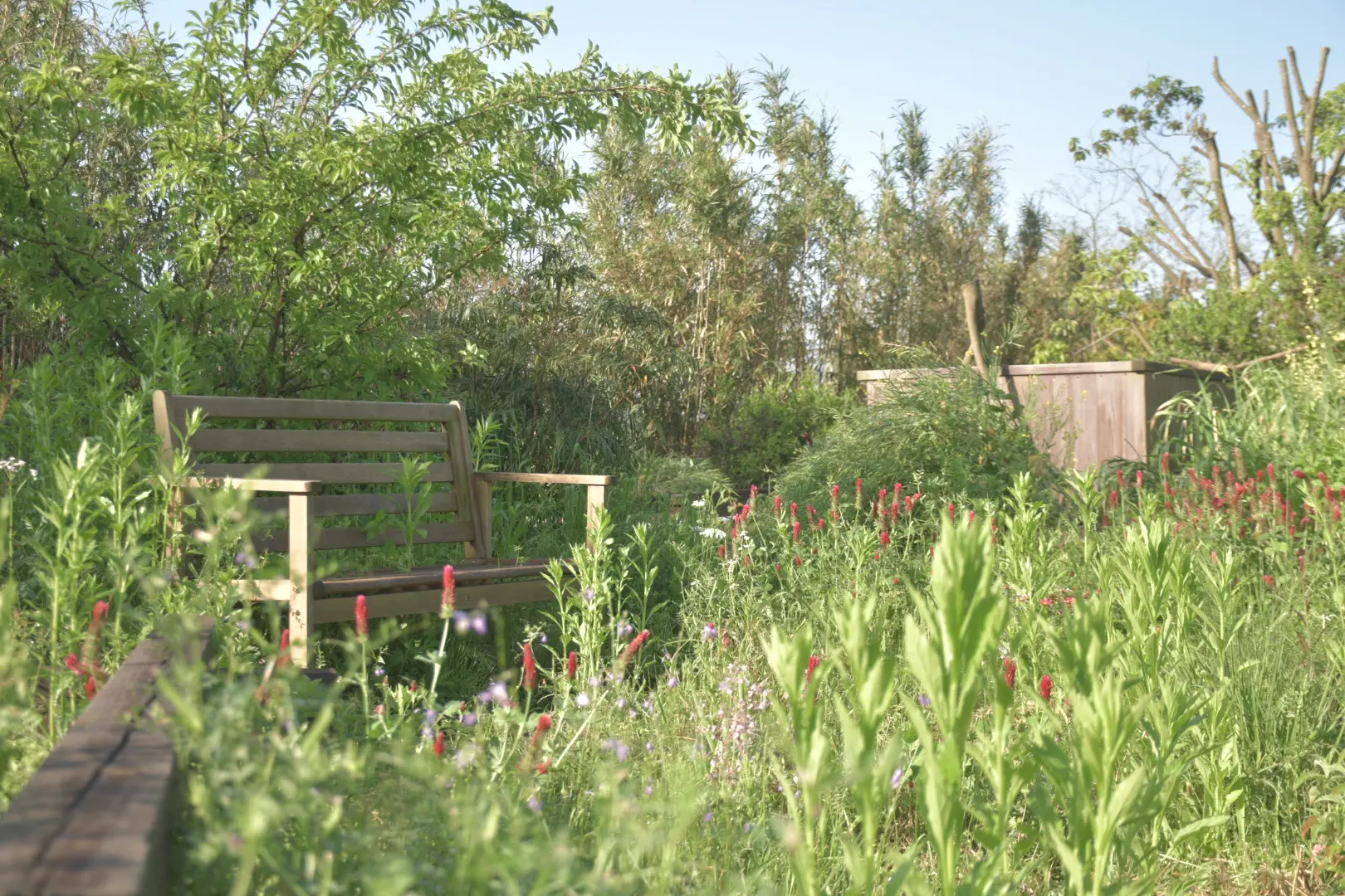 見学会イメージ画像
