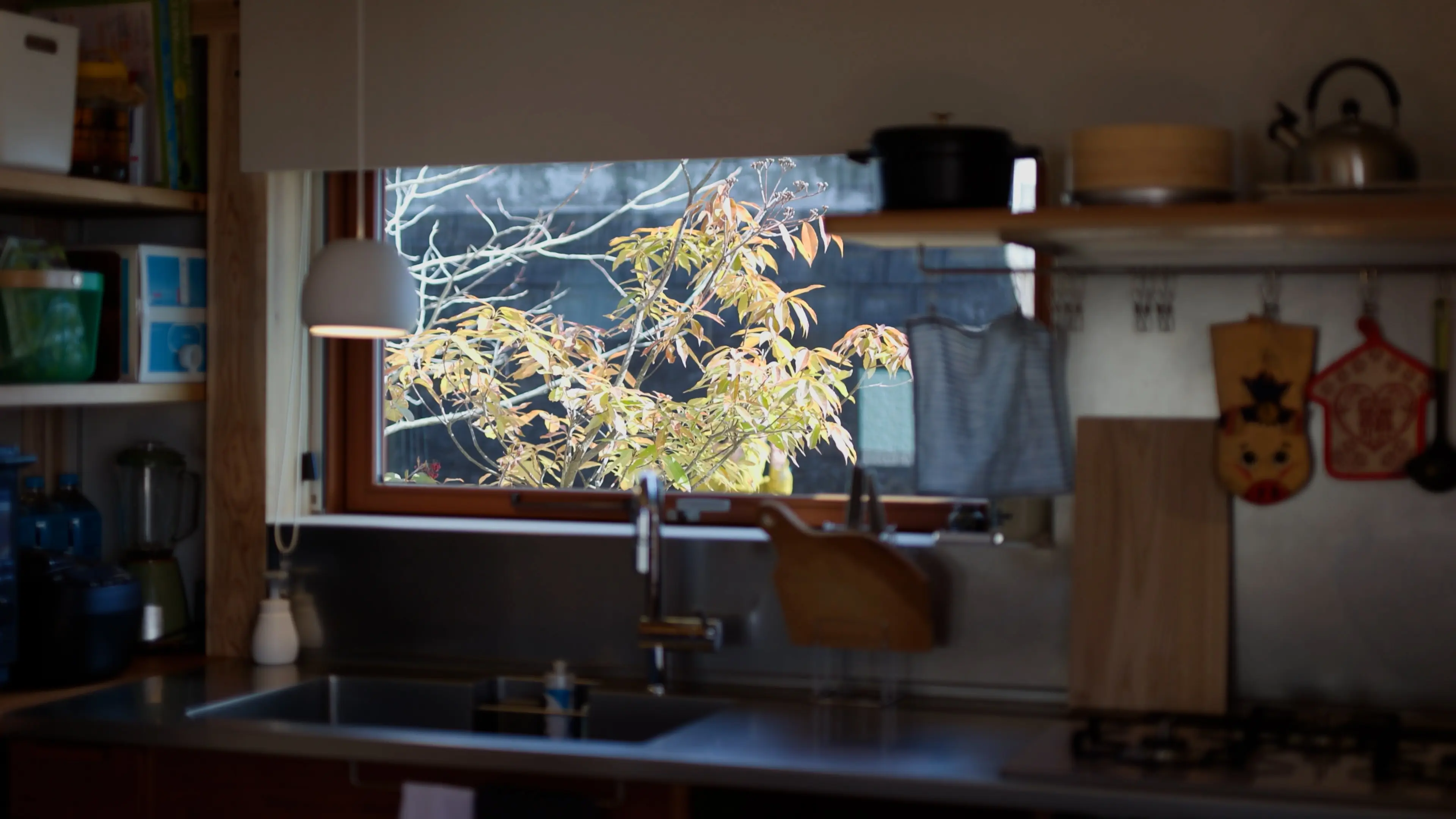 楓の木を眺めるキッチン
