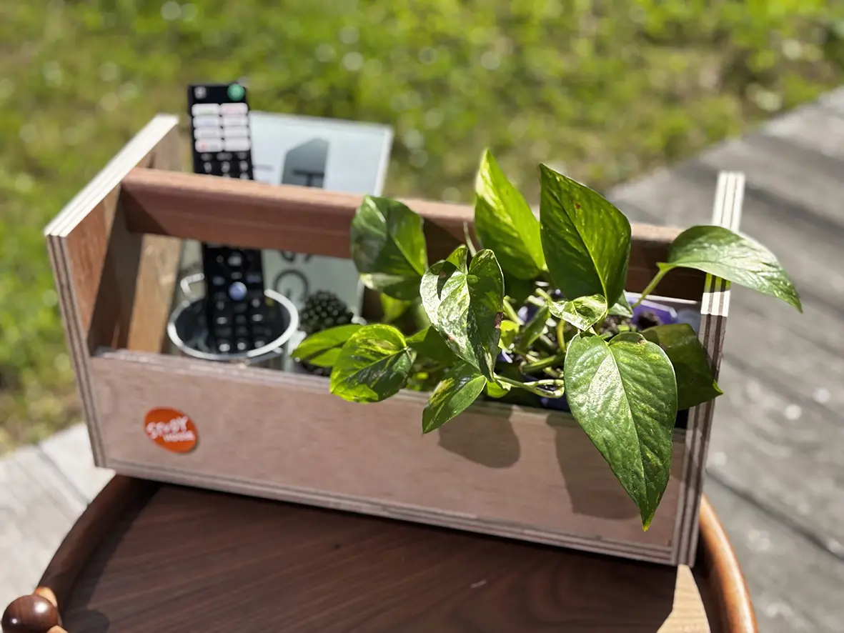 STUDY HOUSE マルシェ 〜新緑のまちに、みんな集まれ🌱〜 | シンケン