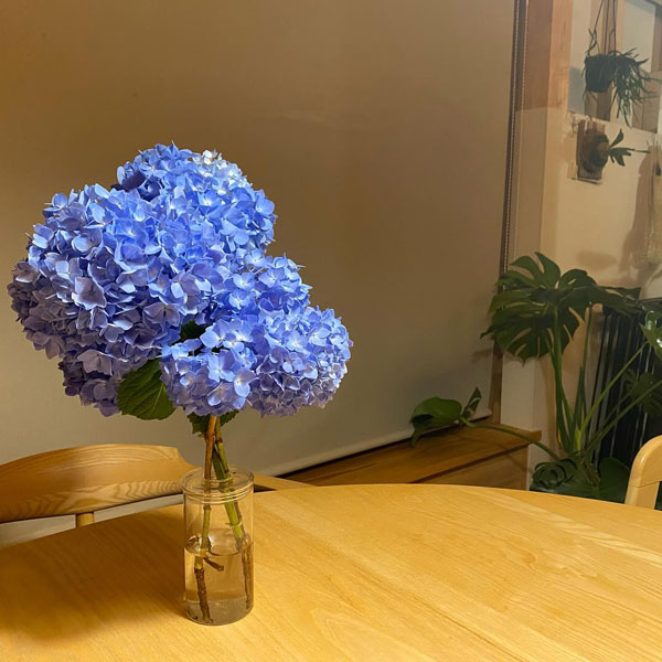 木の家
