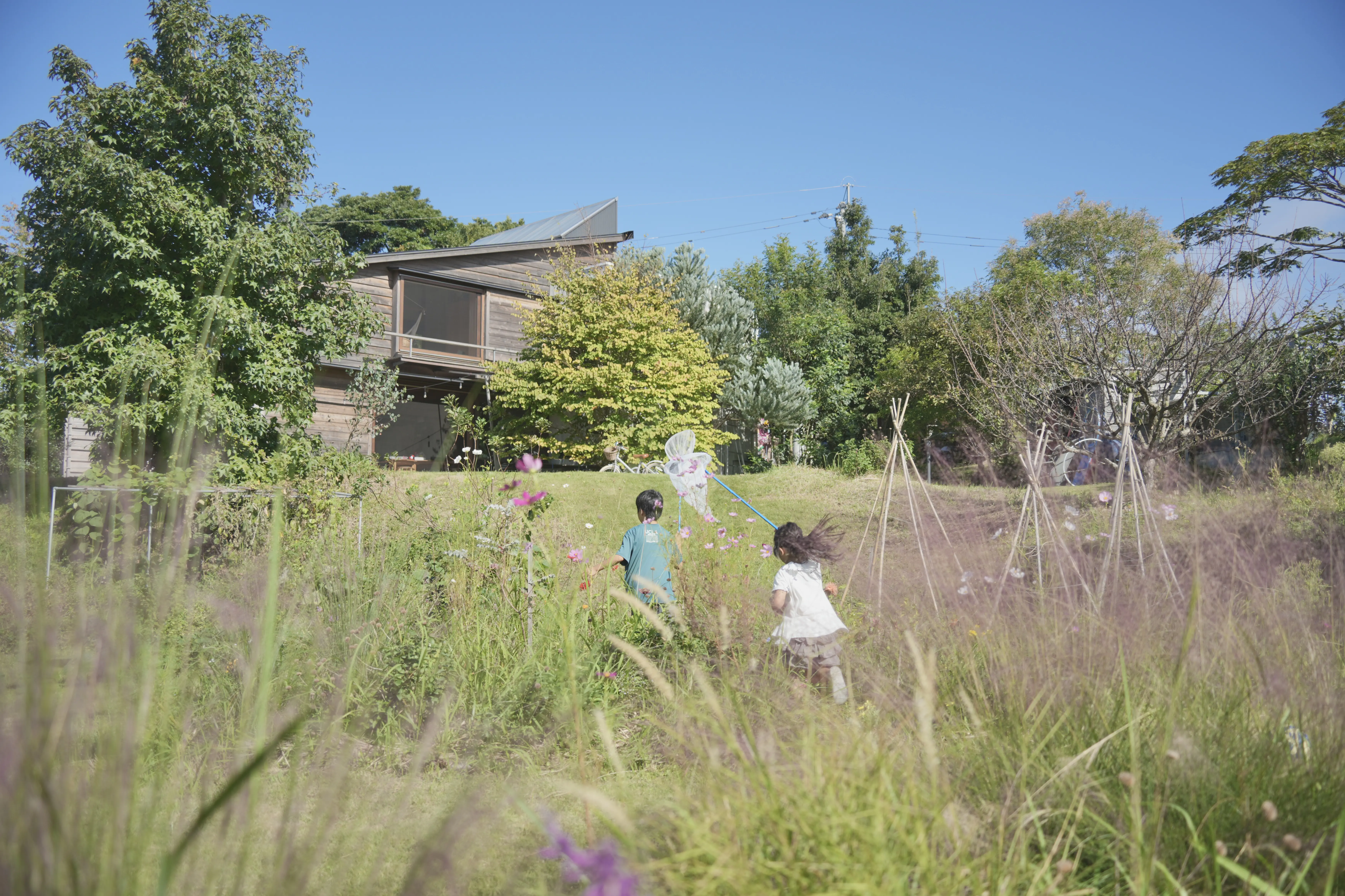 約360坪の土地を、のびのびと駆け回る兄弟